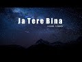 Ja Tere Bina Lyrics Video Happy Raikoti Ft Tania All In One LP New Punjabi Song 2022