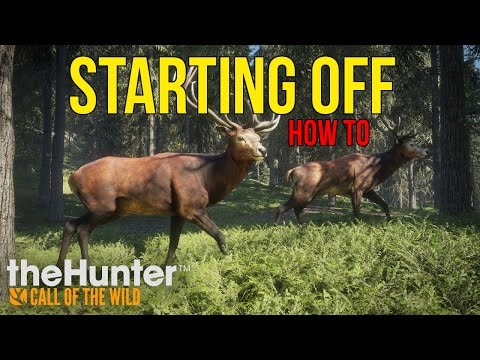 hunter call of the wild tips hunter call of the wild tips