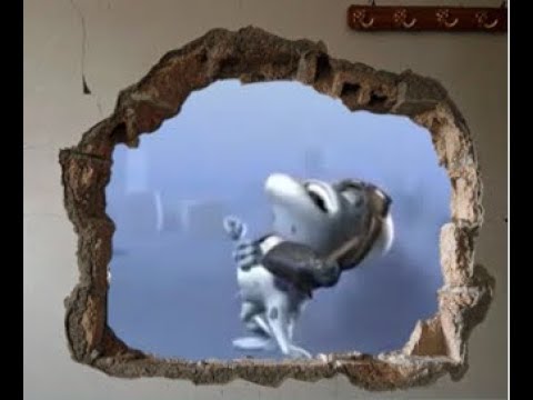 Crazy Frog Hole in My Wall