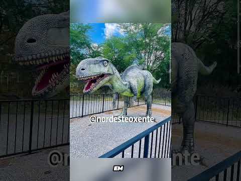 Sousa PB a cidade onde os dinossauros deixaram suas pegadas! #dinossauro