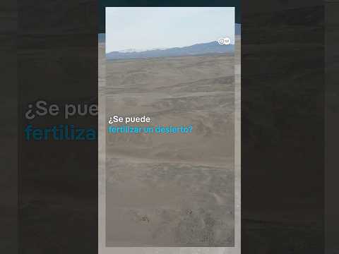 Con IA y microalgas fertilizan el desierto de Atacama #shorts