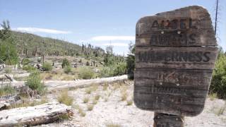 Gateway to the Wilderness