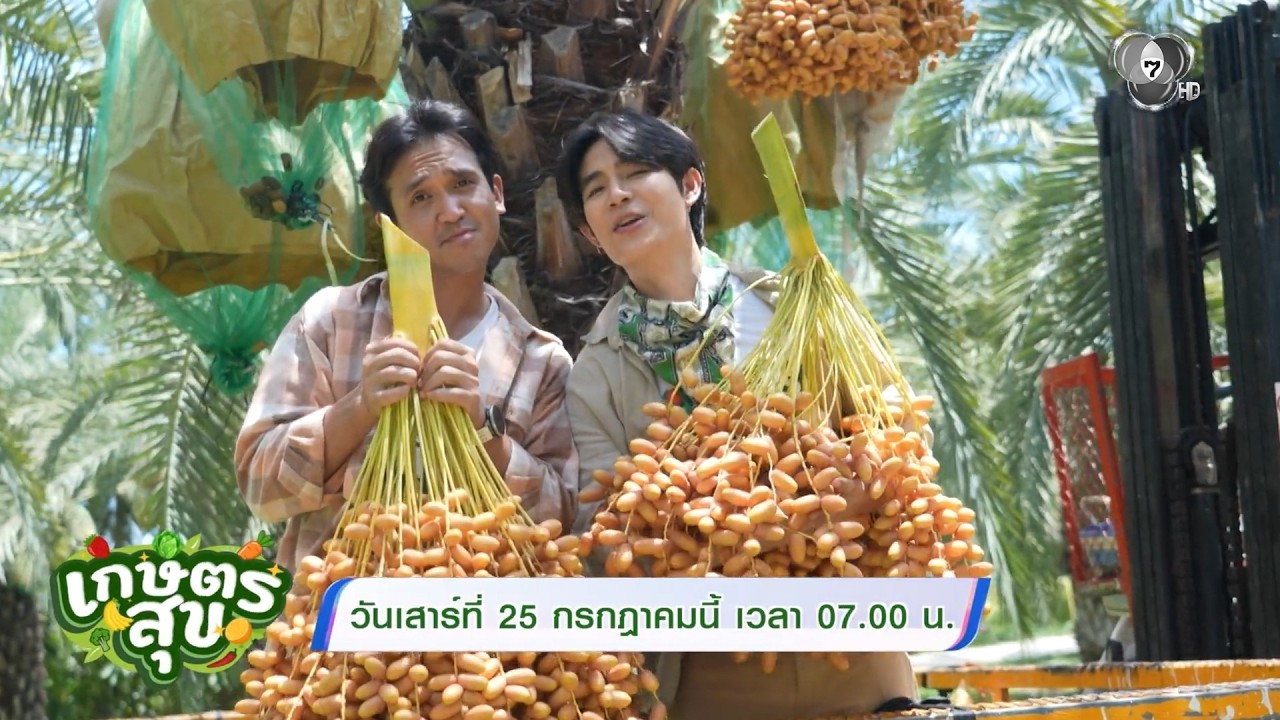 เกษตรสุข เสาร์นี้ พาบุกสวนอินทผลัมขนาดใหญ่กว่า 100 ?
