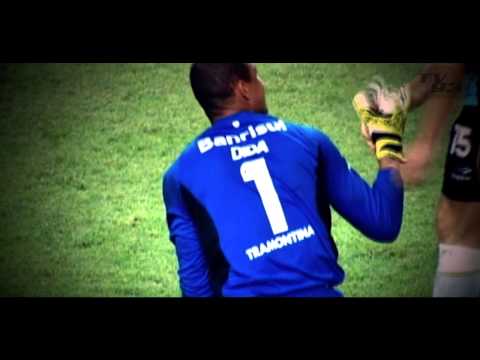 Nelson Dida - Defesas Gremio 2013