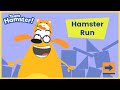 PBSkids Team Hamster The Ruff Ruffman Show Hamster Run