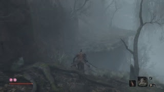 SEKIRO