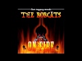 The Bobcats - I'm On Fire (Bruce Springsteen ...