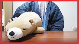 大学に行きたくないよ～。【ぽんや】
