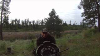 preview picture of video 'Jake Shot in Medical Lake WA'