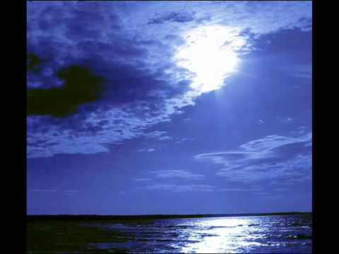 Vassilis Saleas & Mikis Theodorakis - Magic Night
