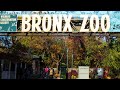 Places To Visit In New York Bronx Zoo