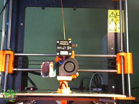 The Three Wise Skulls