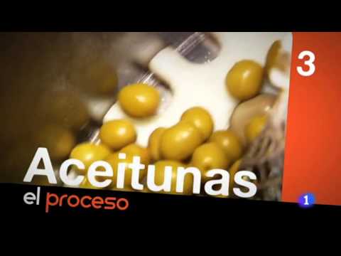 Fabricando Made in Spain   Programa 45 online video cutter com