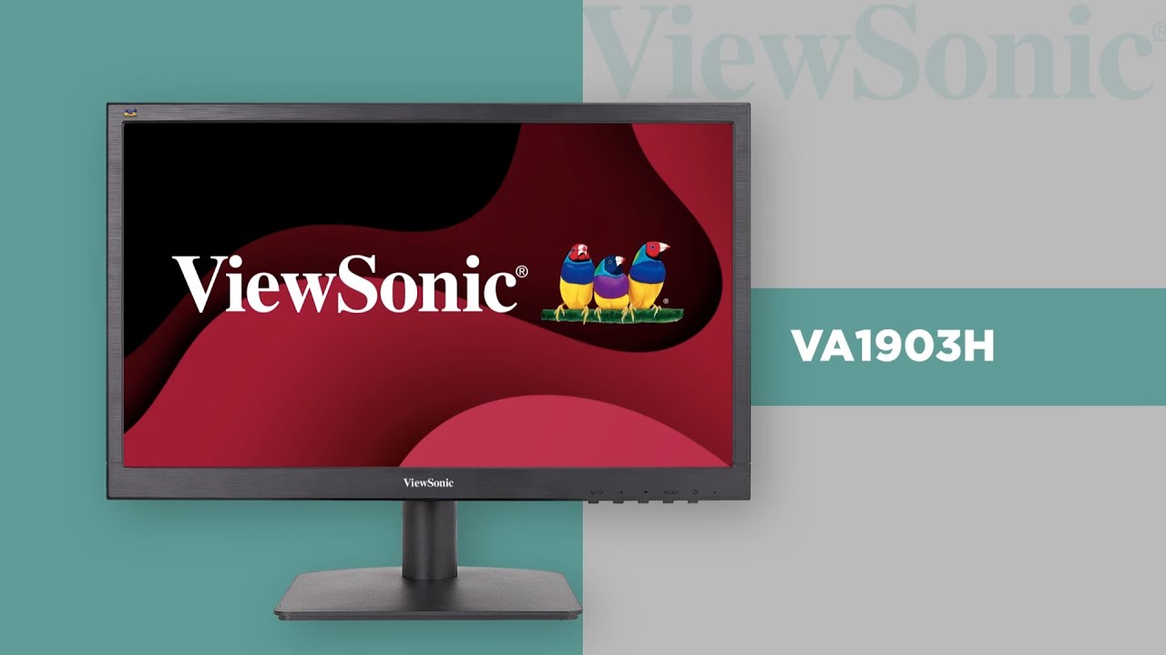 VA1903H 19" Monitor