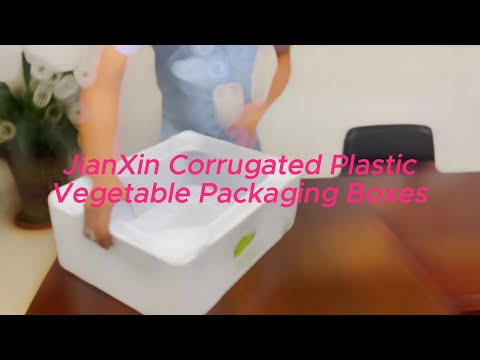 Caixa de brócolis de plástico corrugado | Experiências imersivas | Fabricante de caixa de plástico corrugado