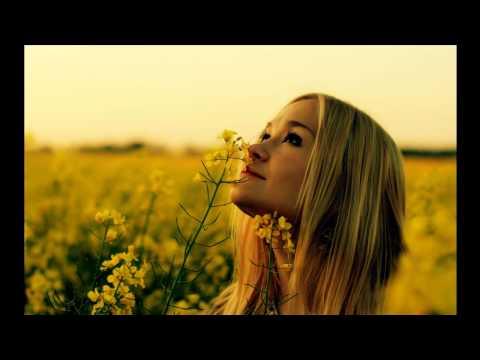 Audien vs Krewella - Iris Alive (Myon & Shane 54 Mashup)[ID186]