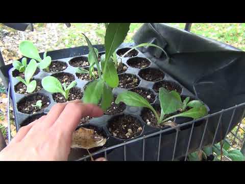 tour pre lluvia 1de2