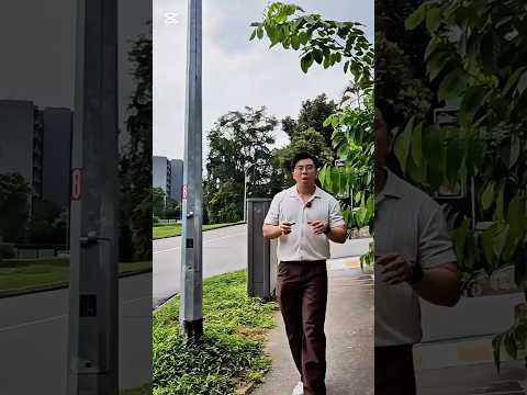 D'Banyan, 83 Jalan Sendudok, 1 Bedroom, 732 sqft, Apartment For Sale, by Justin Heng, 500151328 - PropertyGuru.com.sg