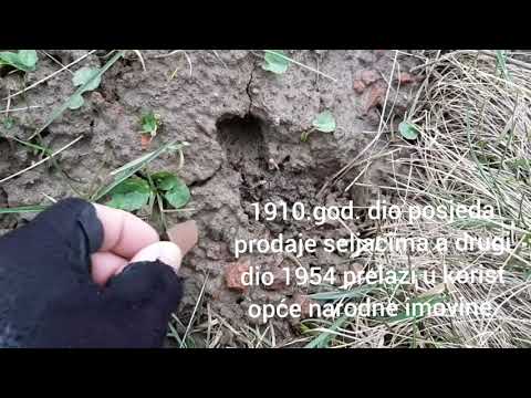 Negovec i Marija Jurić Zagorka