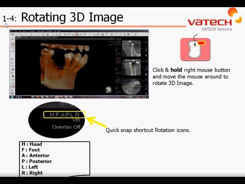 Rotating 3D Image