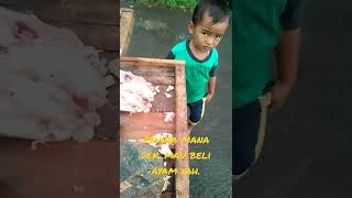Download lagu anak kecil beli ayam potong mp3
