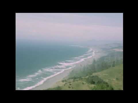 DENMARK!  --- flying lotus x earl sweatshirt type beat