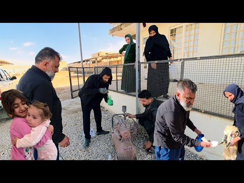 Goat vaccination in the Peren family’s barn with the help of Mehdi, the young son of the family.