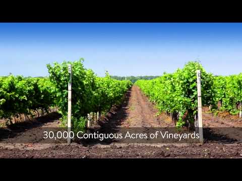 VisitErie Wine County