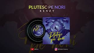 Plutesc Pe Nori Lyrics English Translation