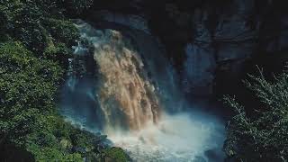 Tchaikovsky: The Nutcracker, Op. 71, Act II: Waltz of the Flowers