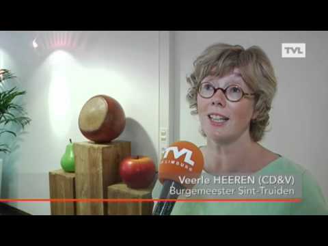 Landen en Sint-Truiden bekvechten over ontsluiting E40