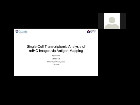 Single-Cell Transcriptomic Analysis of mIHC Images via Antigen Mapping
