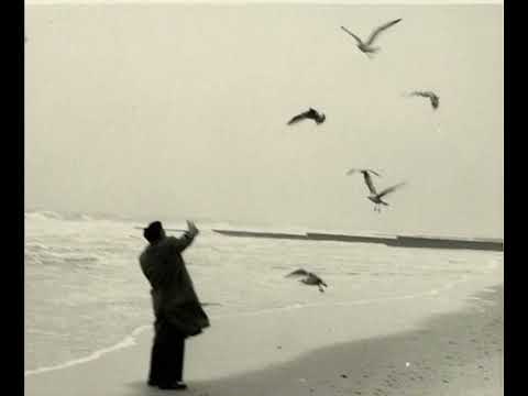 [FREE] Memories | Pink Siifu x Navy Blue Type Beat