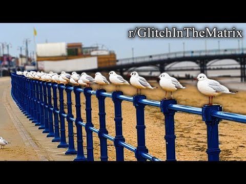 r/Glitchinthematrix | the council has gathered