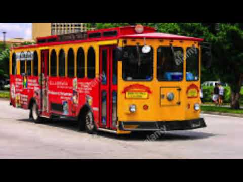 Saint Petersburg and Clearwater Florida by BK Bazhe