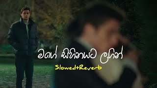 Download lagu Mage sihinayata lagin(මගේ සිහිනයට ලගින්) slowed reverb- #slowed #love #bootsongs-Shehan udhesha mp3