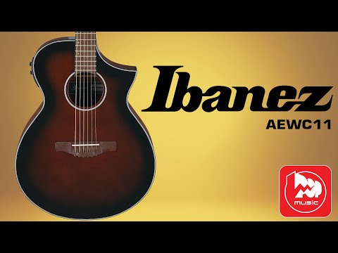 Обзор электроакустической гитары Ibanez AEWC11