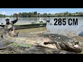 World Record Catfish 285cm River Po Italy AlessandroBiancardi