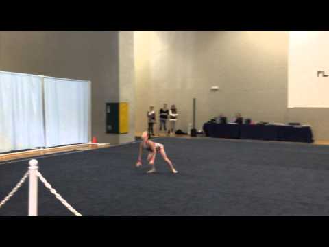Lera level 6 hoop - December 2014 mock competition