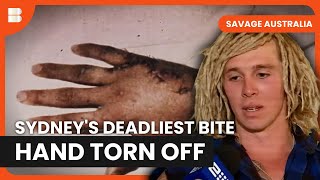 Navy Diver Loses Hand in Sydney Harbour Attack | Savage Australia