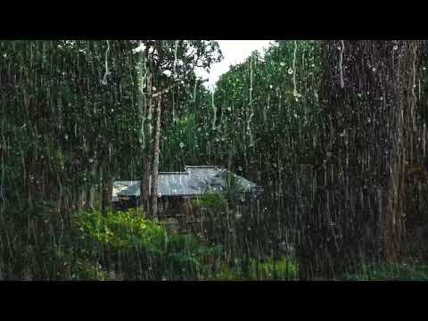 Duerma Instantáneamente en 3 Minutos con Sonido de Lluvia en Techo en la Granja en Bosque Brumoso