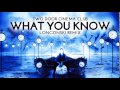 Two Door Cinema Club - What You Know ...