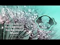 Sleepy Jake Silent Partner No Copyright Music