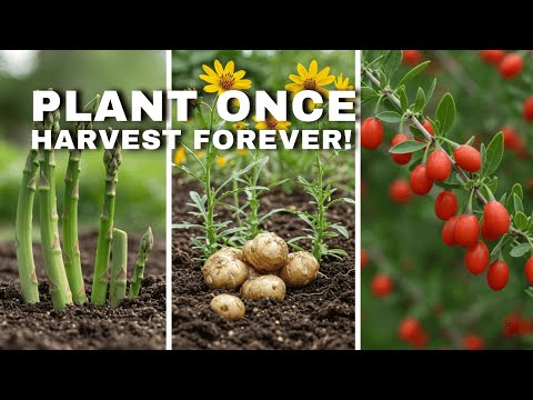 Plant These 15 Perennial Crops ONCE… and Harvest Forever!