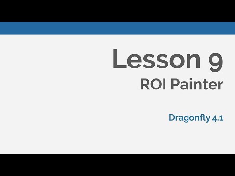 Dragonfly Daily 09 ROI painting tools in Dragonfly (2020)