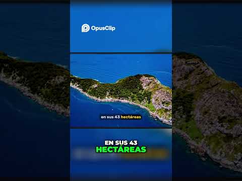 Isla de las Serpientes: El Paraíso Prohibido de Brasil