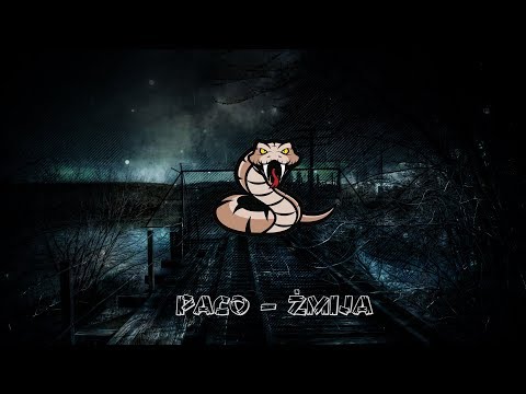 PACO - Żmija instr. PS Recordz [UNCENSORED PSYCHO FLOW]