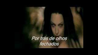 Evanescence -Sick(Tradução)