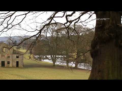 Michael Hoppe - Nimbus (LandscapeHD)