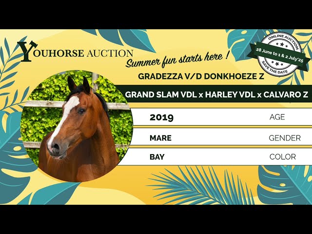 Gradezza vd Donkhoeve Z